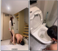 үϰĹ38  ls6851